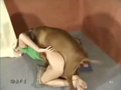 Hot blond adores having sex with her dog in the living room 